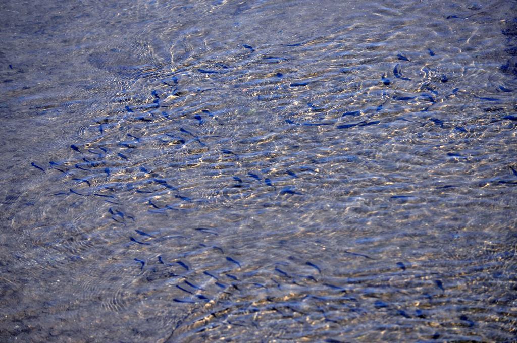 Moinhos Das Mares Fuzeta Exteriér fotografie